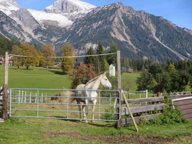 Willa Landl Vorberg Ramsau am Dachstein Zewnętrze zdjęcie